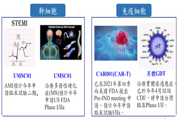 長聖多項異體細胞新藥研發申請進入臨床試驗 長聖免疫細胞新藥 GDT、CAR-T 皆申請試驗 2022 May