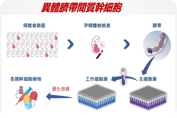 和迅異體間質幹細胞，自取得到培養成藥物流程圖（來源：和迅法說會簡報）和迅拿尖端醫授權切幹細胞治療，鎖定心血管新藥 2023 Sep