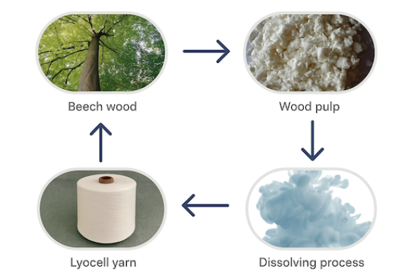從木材、原生木漿，經過溶劑溶解製程，做成萊賽爾（Lyocell）纖維 聚泰產能滿載、3Q26 擴產，擬直供歐美服飾品牌 Oct 2025(全)