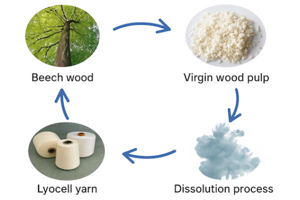 從木材、原生木漿，經過溶劑溶解製程，做成萊賽爾（Lyocell）纖維的製程流程 聚泰先開拓歐洲、亞洲快時尚，伺機開發北美 Oct 2025(增)